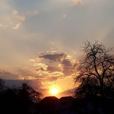 Mag's Höchst